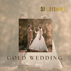 DJ Luis Mares at Gold Wedding (Fireshow/Saxman/MC)